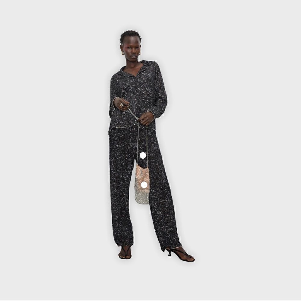 Zara limited edition sequined pants